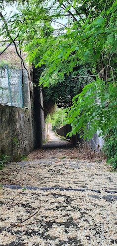 Treppe des Schmerzes